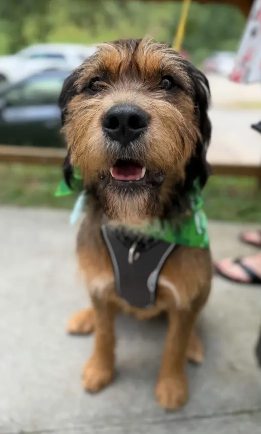 Walter