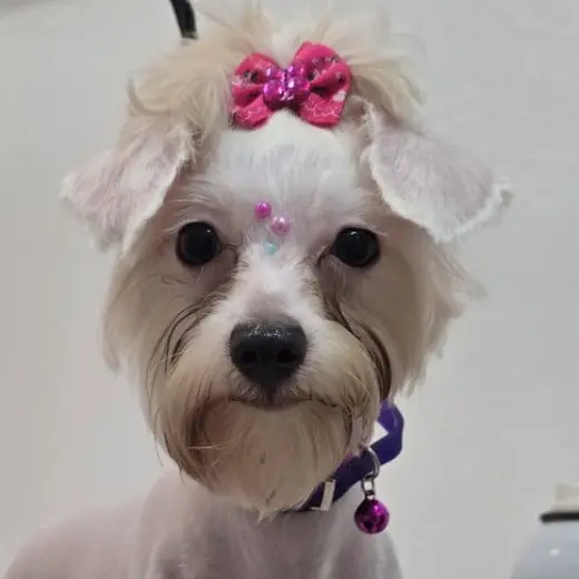Annie May