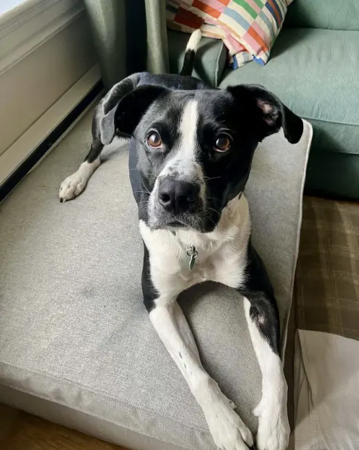 Jax