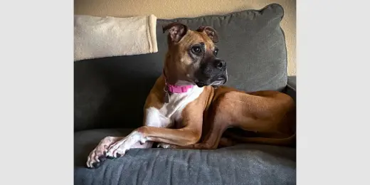 Kirby
