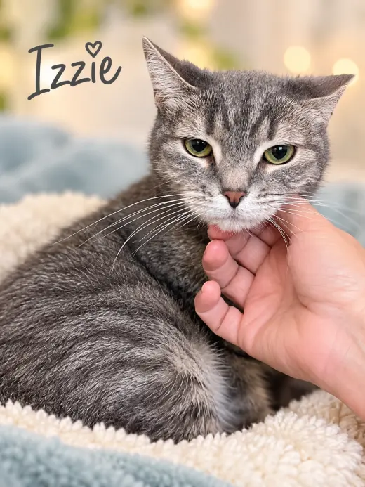 Izzie (FCID# 09/16/2026 - 158) Willow Grove