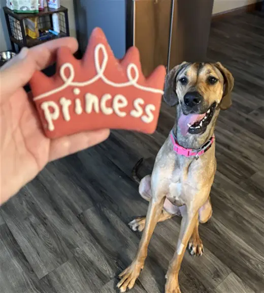 DARLA