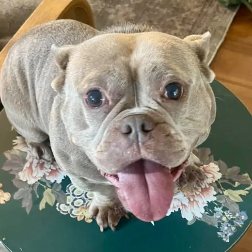 Molly