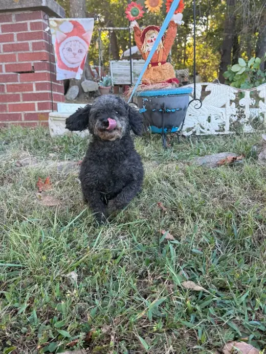Betty