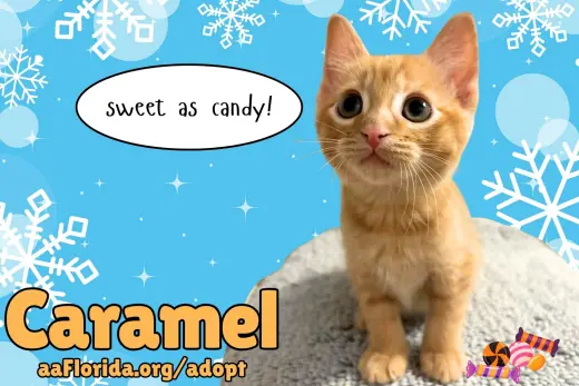 Caramel