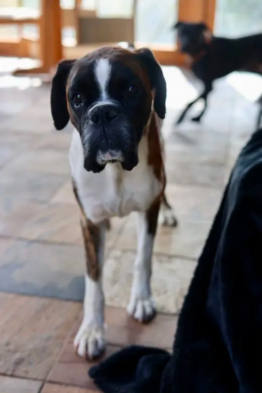 Billy