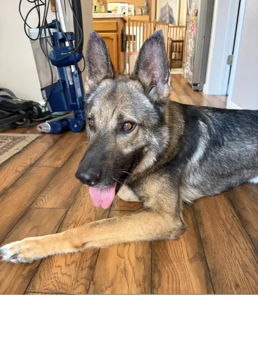Max