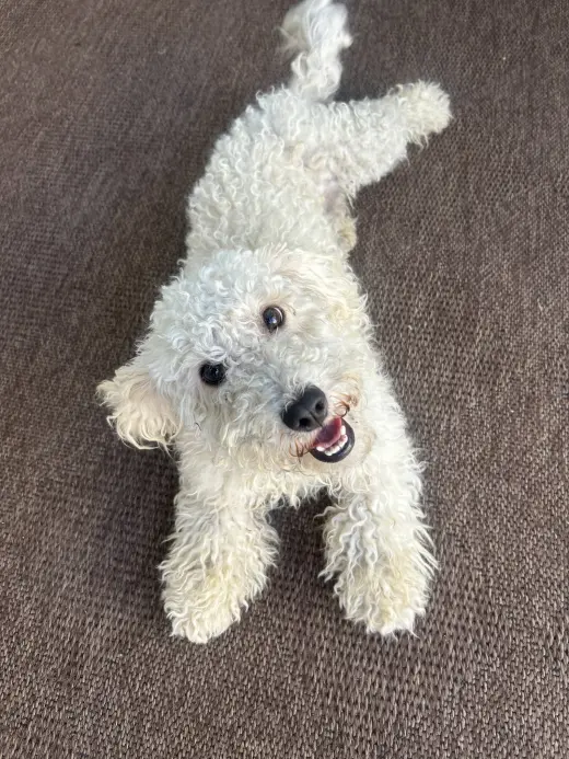 Lucy