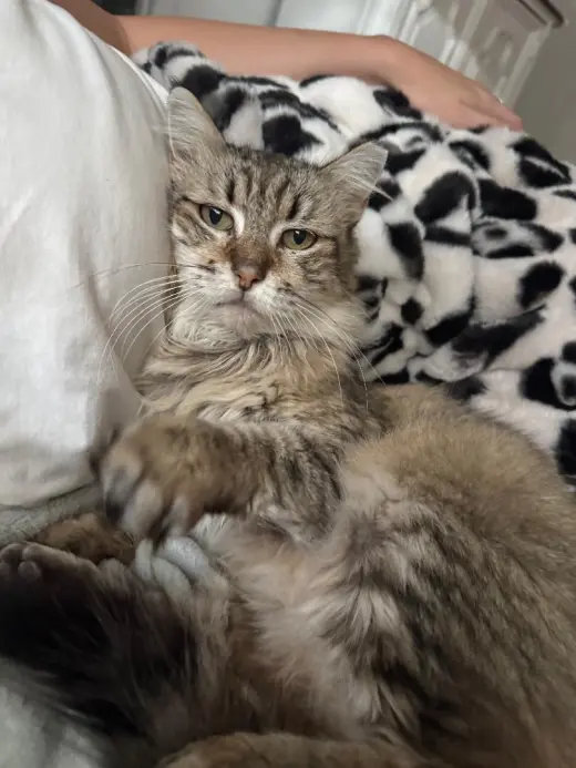 Mandy