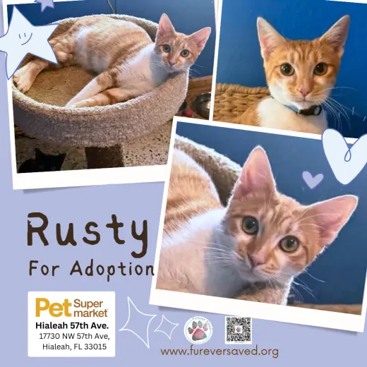 Rusty