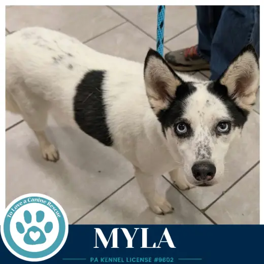 Myla 100326