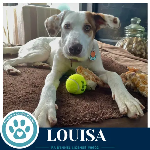 Louisa 100326