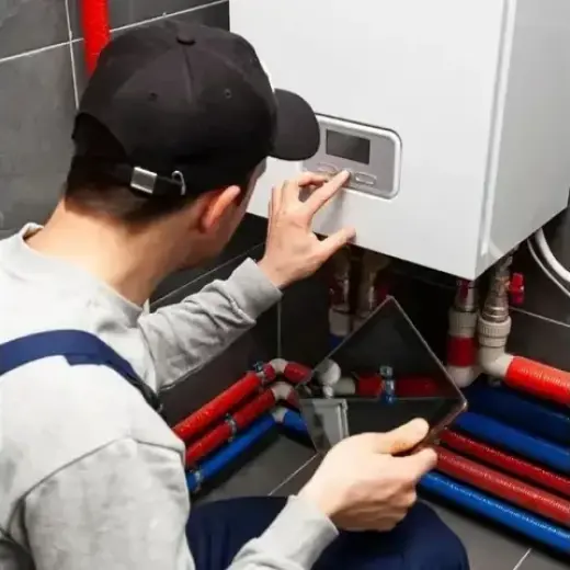 Handyman Profesional