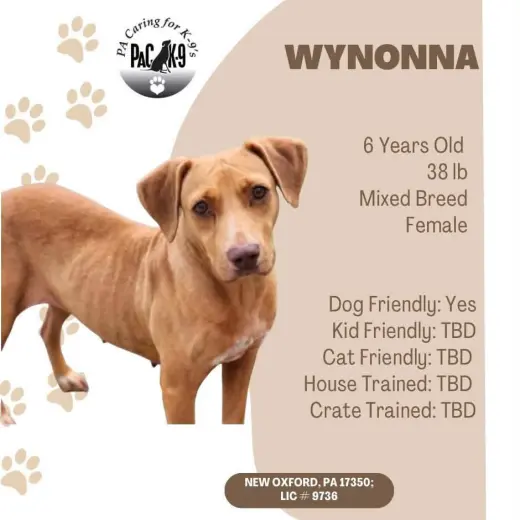 Wynonna