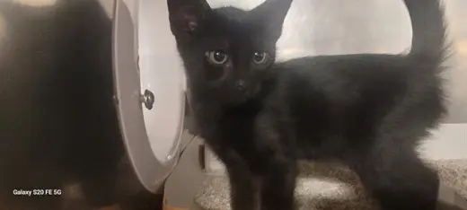 QUINN