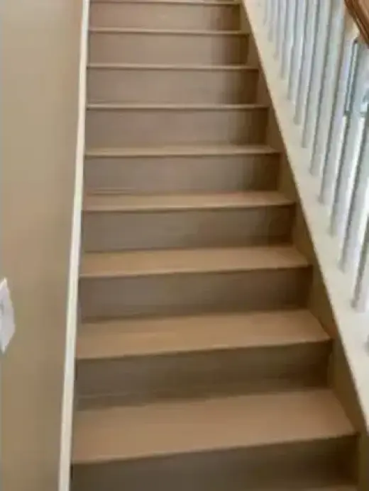Pisos y Alfombras