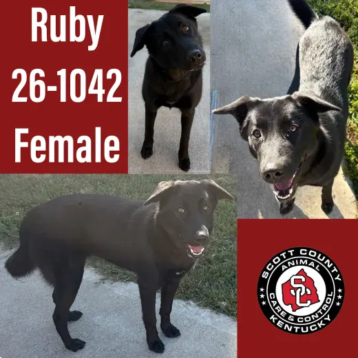 Ruby