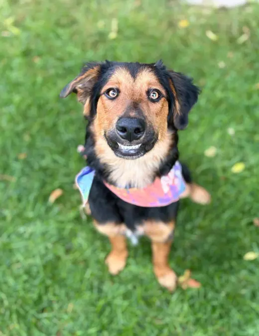 Jolene "Jojo