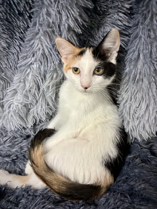 Miss Moneypenny