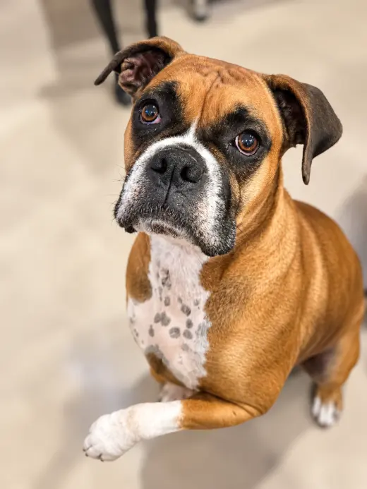 Ellie Mae