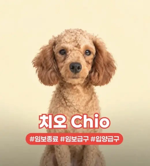 CHIO