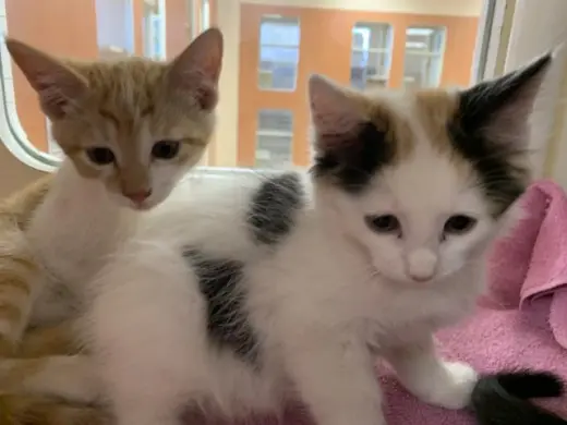 A1940678