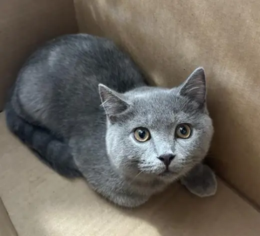 YUKI