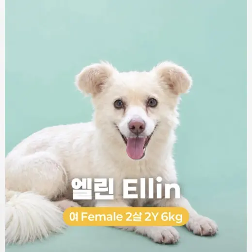 ELLIN