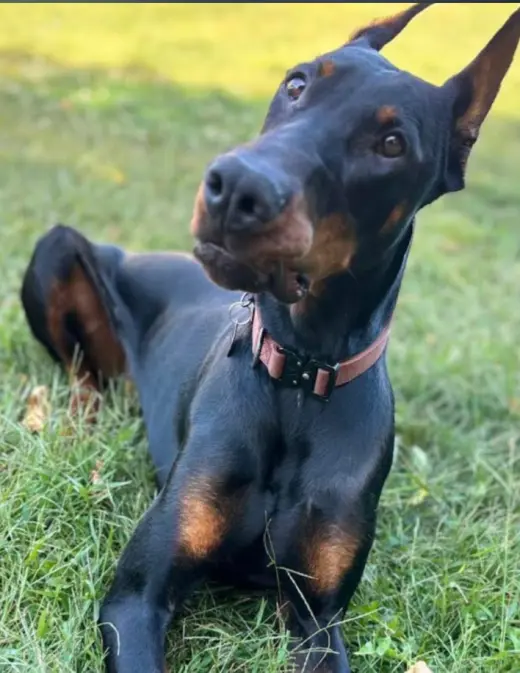 Rufio Foster Needed!!