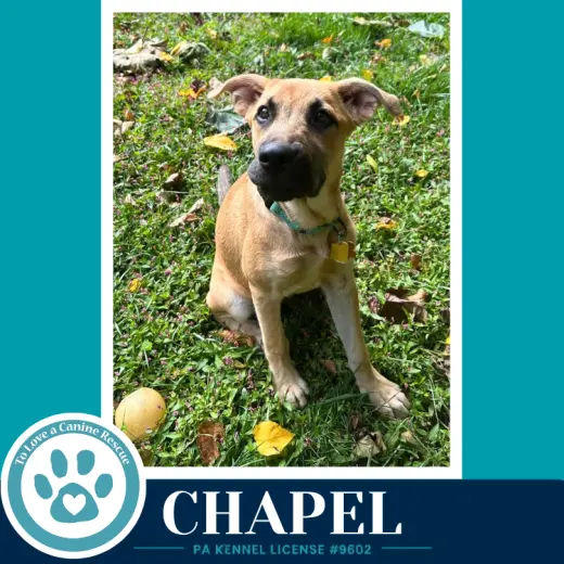 Chapel 100326