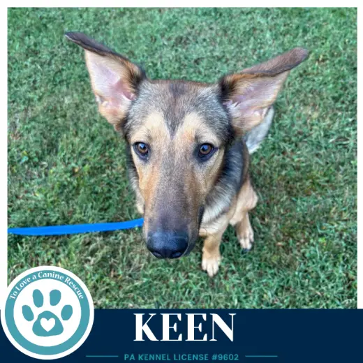 Keen 100326