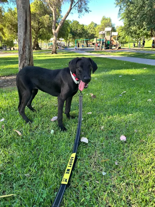 Frida