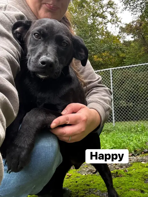Happy (13wo, 20lbs)