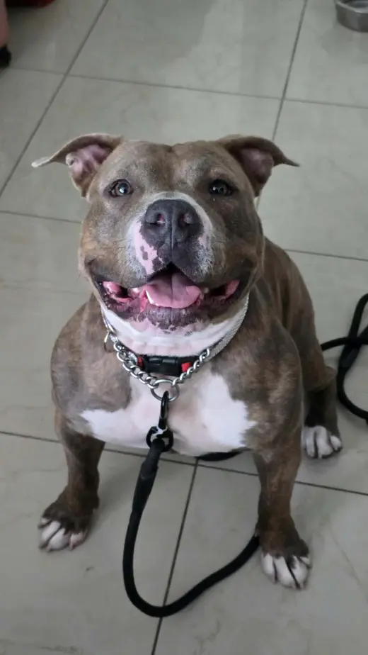 Gabby