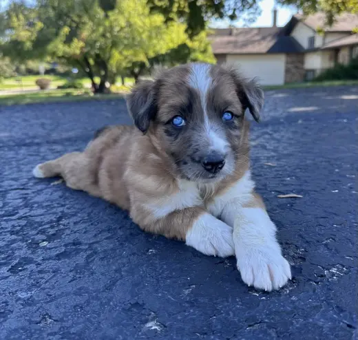 Marty