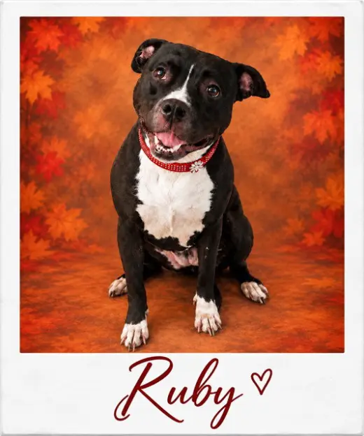 RUBY