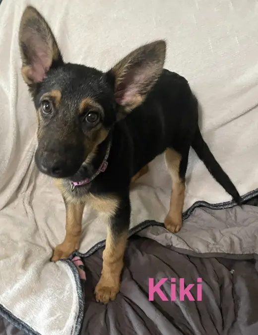 Kiki