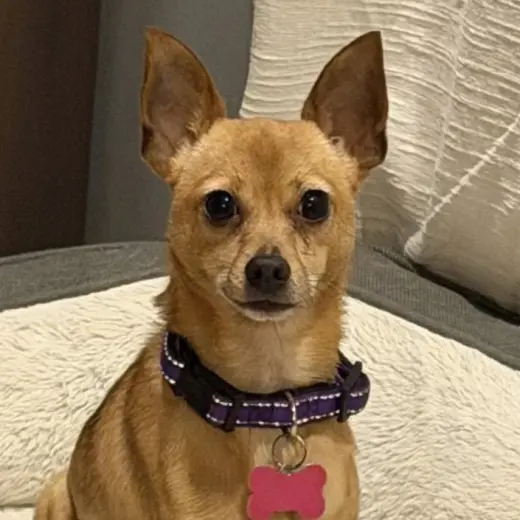 Winnie