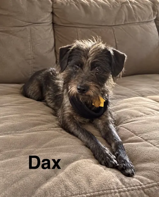 Dax