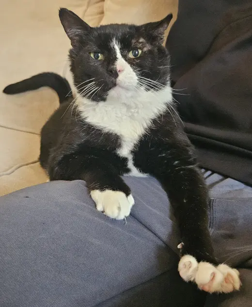 Frankie