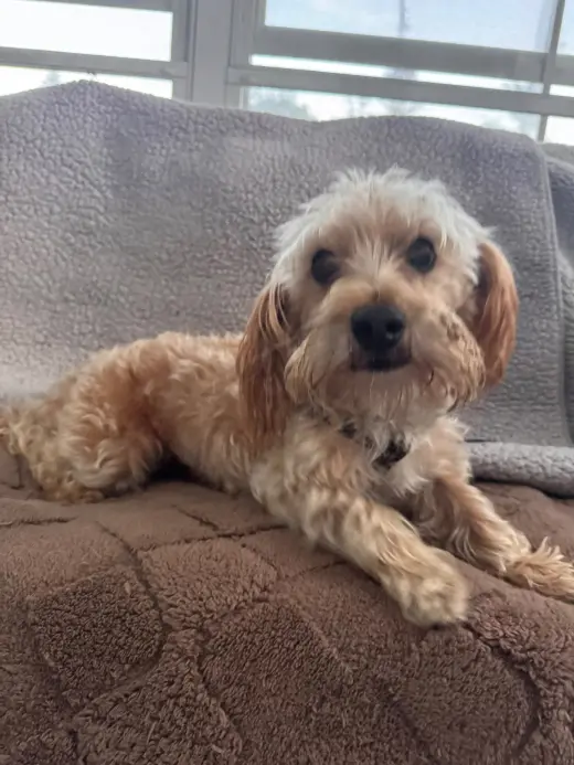 Mr Max