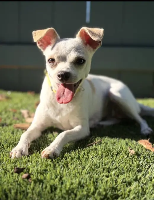 LUPITA