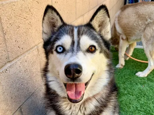 LUNA