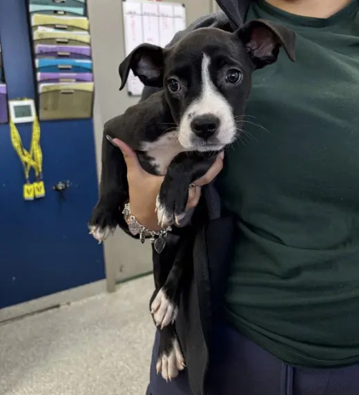 A188644