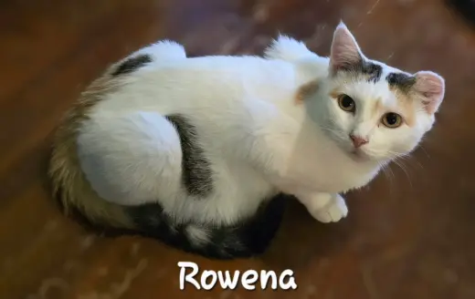 Rowena