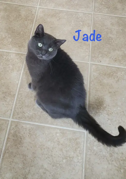Jade