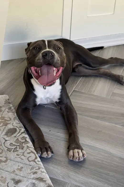 Manchego AKA Manny