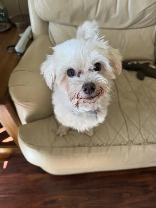 Petey