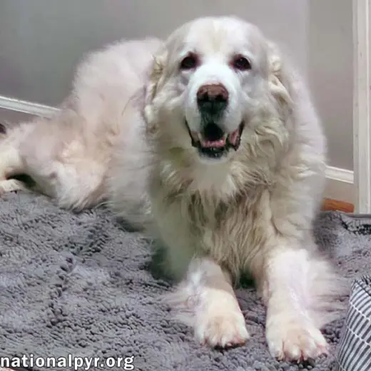Coral in SC - Sweet & Gentle Soul!