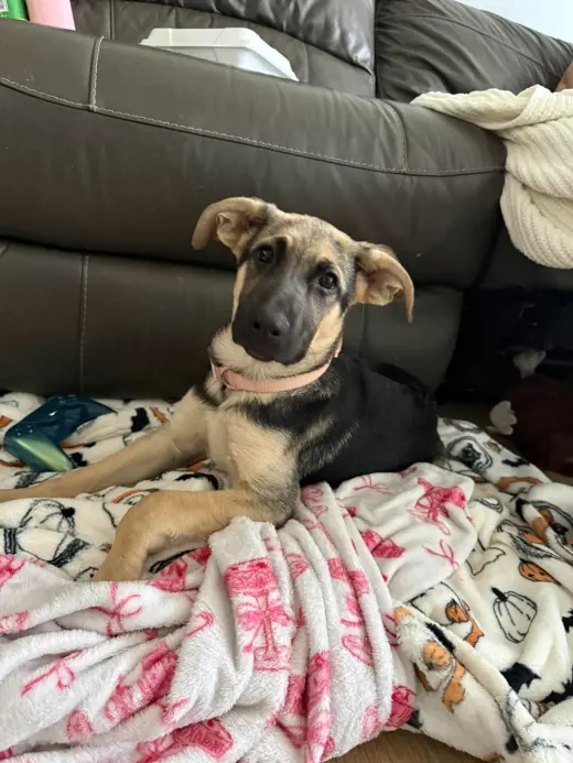 Luna Lynn